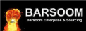 barsoom company logo